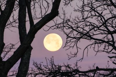Cleanse Crystals On A Full Moon