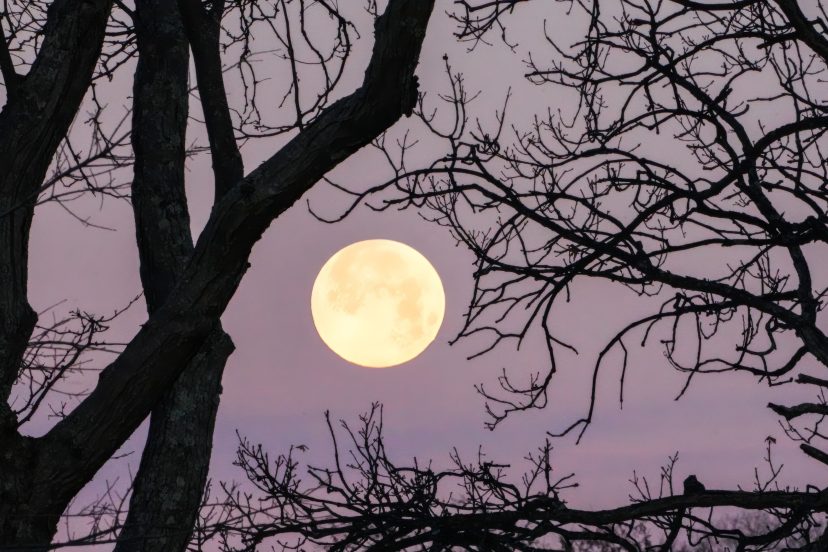 Cleanse Crystals On A Full Moon